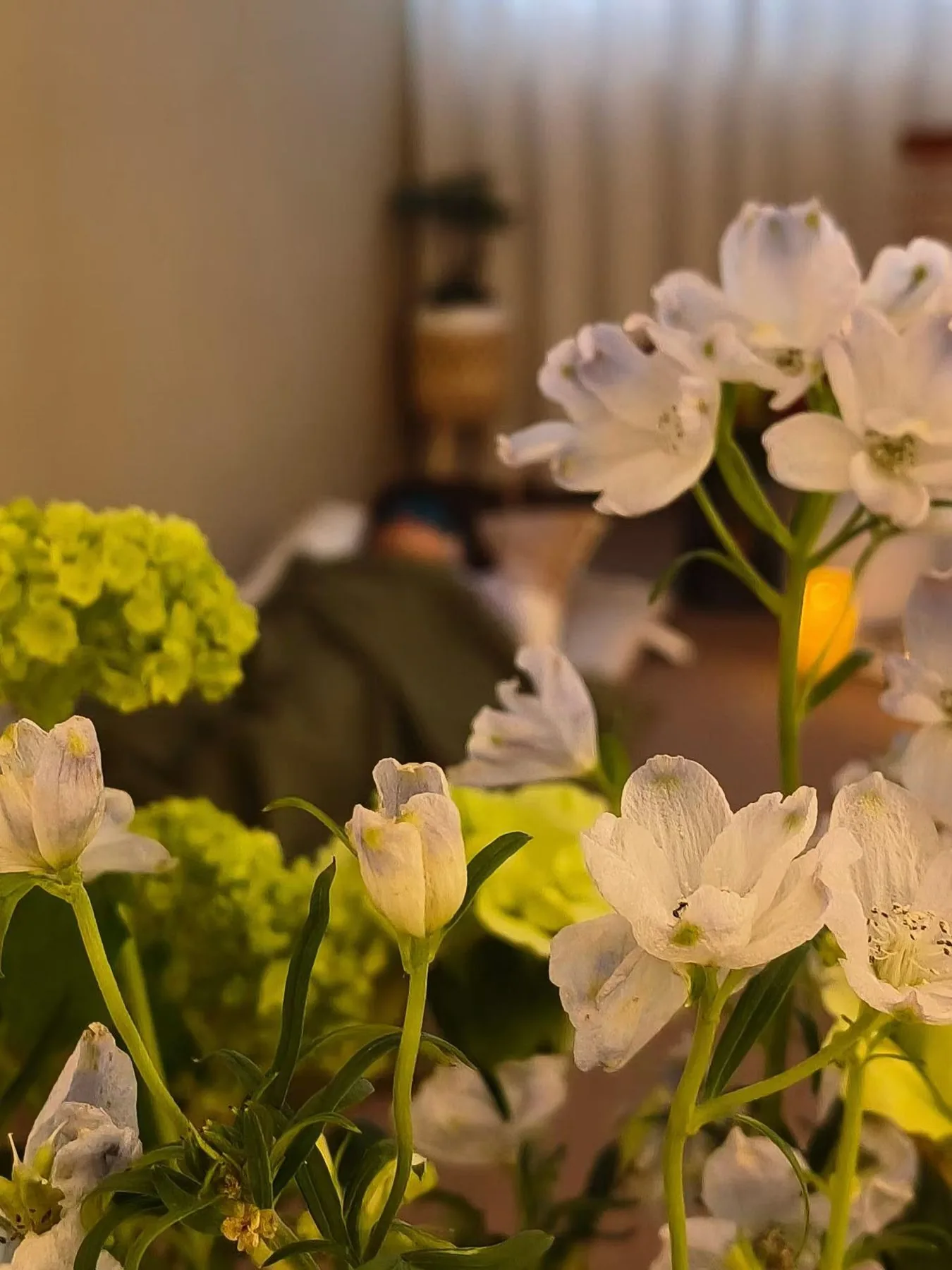 予心光 · 花与钵